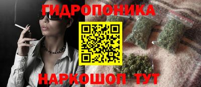 СК Абакан